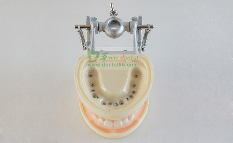 TM-A9 Standard Model